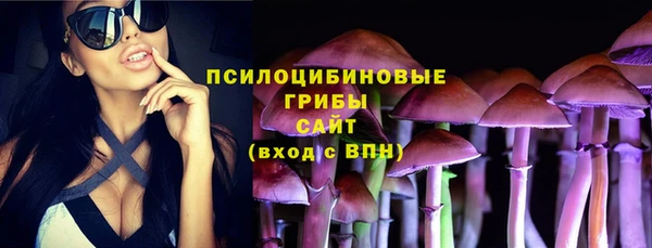 метадон Новодвинск