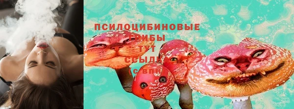 марихуана Новозыбков