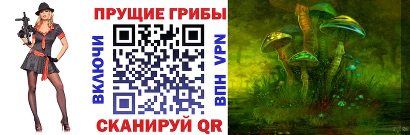 Псилоцибиновые грибы мицелий Хасавюрт
