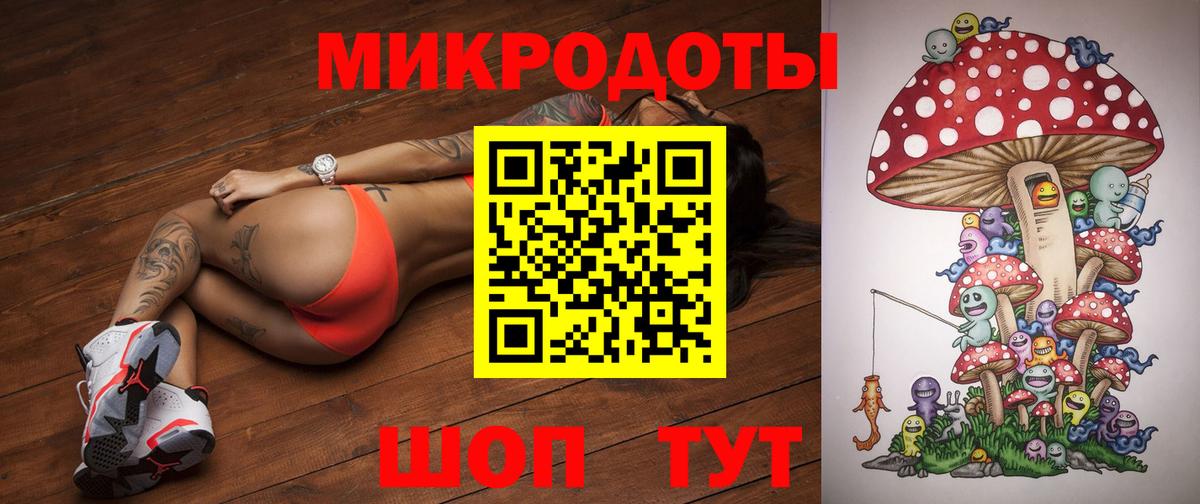 Псилоцибиновые грибы Cubensis  цены наркотик  Хасавюрт  Вход с VPN  Псилоцибиновые грибы Magic Shrooms 