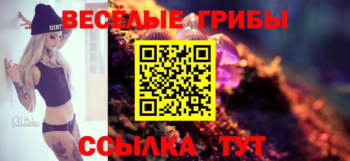 Псилоцибиновые грибы прущие грибы Хасавюрт